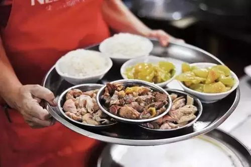 海南不止三亞 這個(gè)度假城市即將成為下個(gè)濟(jì)州島,趁火爆前速去